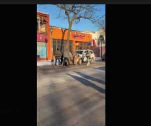 Who Is Robert Giuffre? Virginia Giuffre's Husband - new knowledge bio