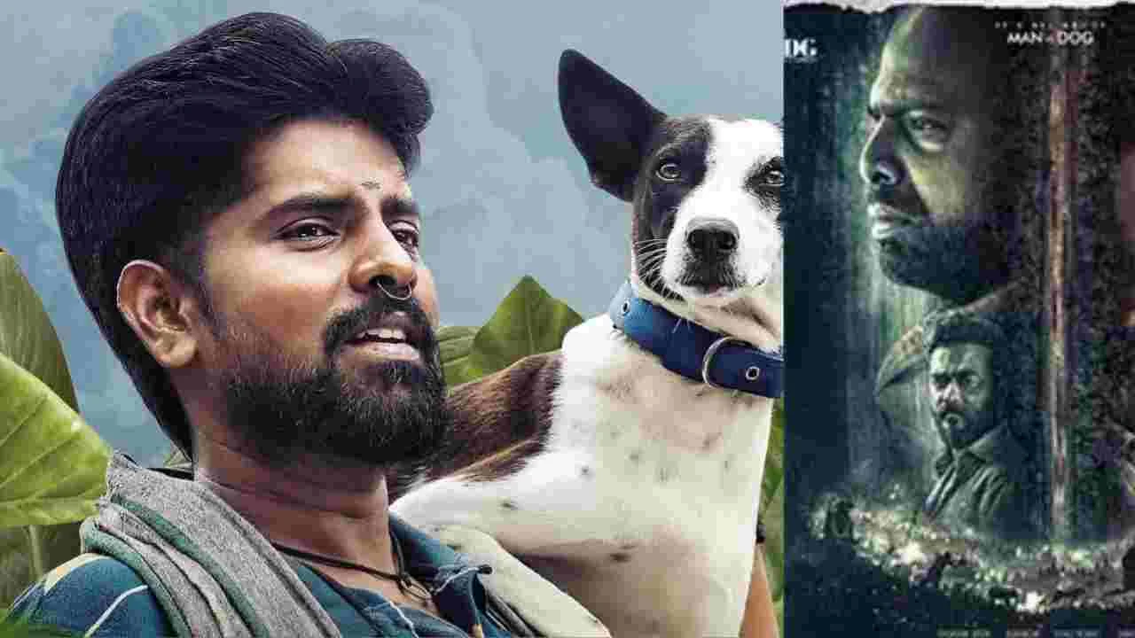 Alangu movie box office collection